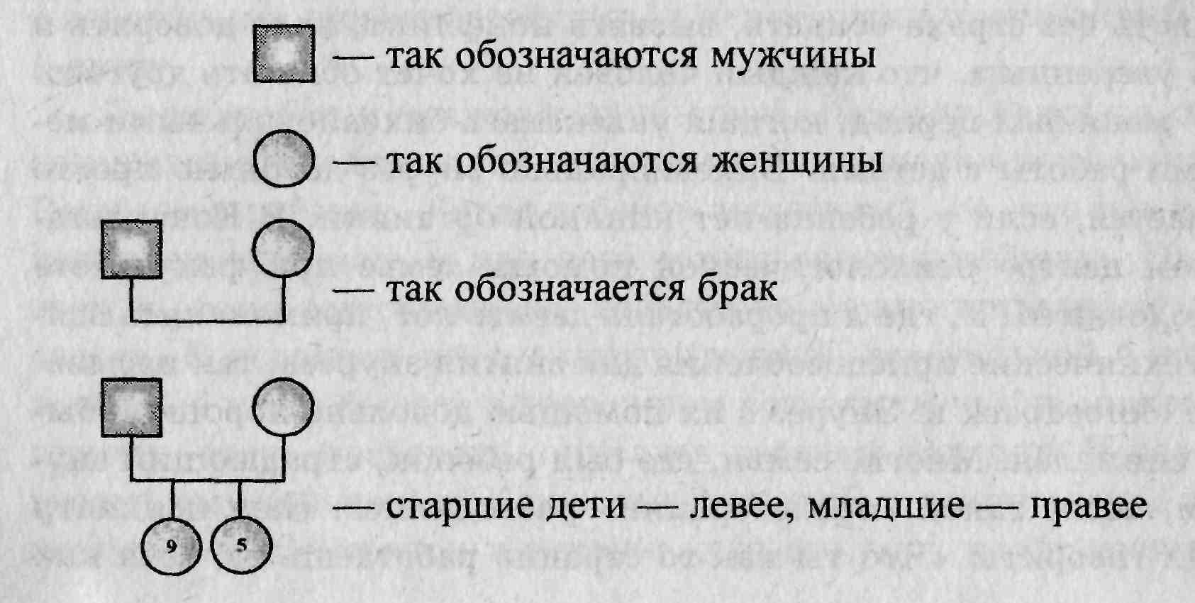 Как составить генограмму семьи схема пример