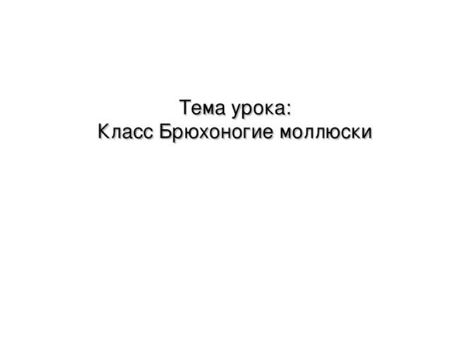 Тема урока:  Класс Брюхоногие моллюски 