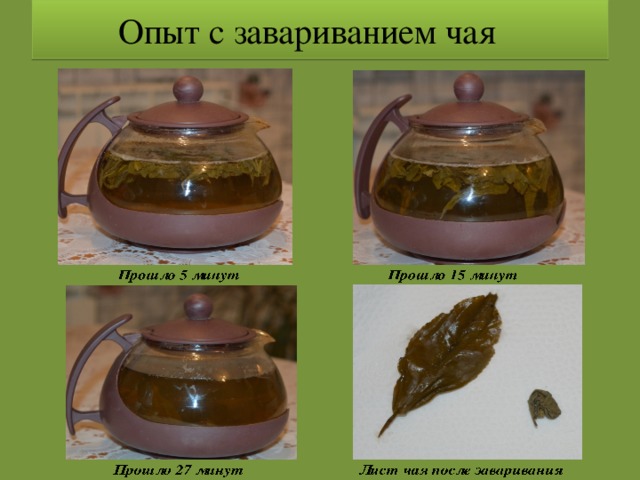 Опыты с чаем для проекта