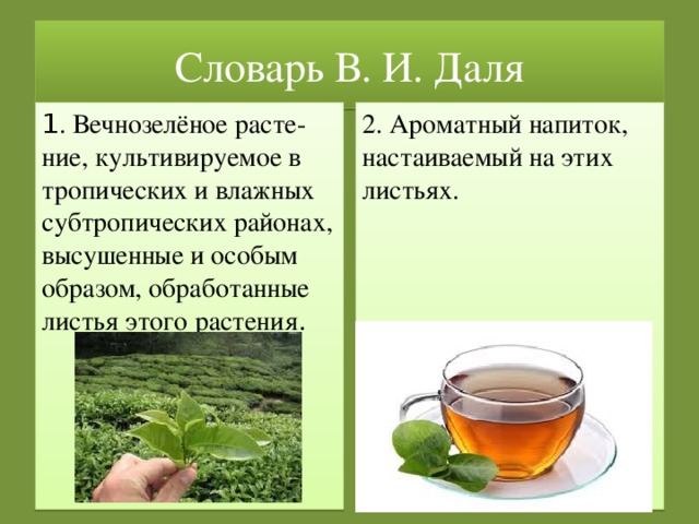 Исследовательский проект по чаю