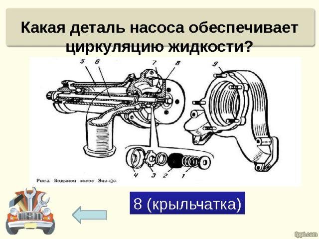 Какая деталь насоса обеспечивает циркуляцию жидкости? 8 (крыльчатка) 