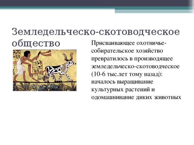 Земледельческо-скотоводческое общество Присваивающее охотничье-собирательское хозяйство превратилось в производящее земледельческо-скотоводческое (10-6 тыс.лет тому назад): началось выращивание культурных растений и одомашнивание диких животных 