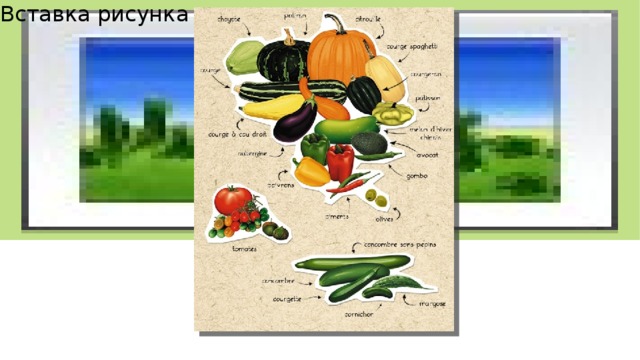Вставка рисунка 