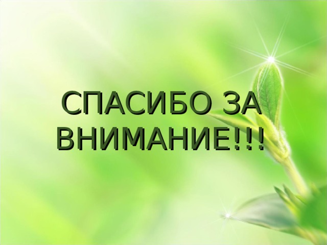 СПАСИБО ЗА ВНИМАНИЕ!!! 