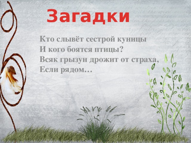 Загадки Кто слывёт сестрой куницы  И кого боятся птицы?  Всяк грызун дрожит от страха,  Если рядом…
