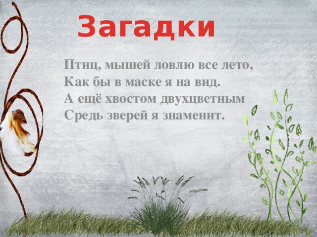 Загадки Птиц, мышей ловлю все лето,  Как бы в маске я на вид.  А ещё хвостом двухцветным  Средь зверей я знаменит.