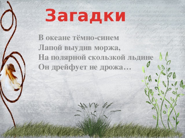 Загадки В океане тёмно-синем  Лапой выудив моржа,  На полярной скользкой льдине  Он дрейфует не дрожа…