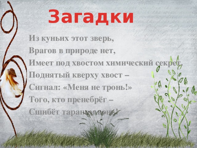 Загадки Из куньих этот зверь, Врагов в природе нет, Имеет под хвостом химический секрет. Поднятый кверху хвост – Сигнал: «Меня не тронь!» Того, кто пренебрёг – Сшибёт тараном вонь!