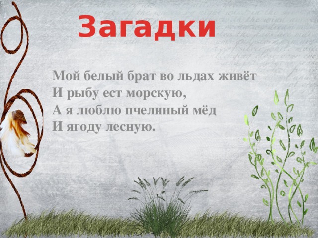 Загадки Мой белый брат во льдах живёт  И рыбу ест морскую,  А я люблю пчелиный мёд  И ягоду лесную.