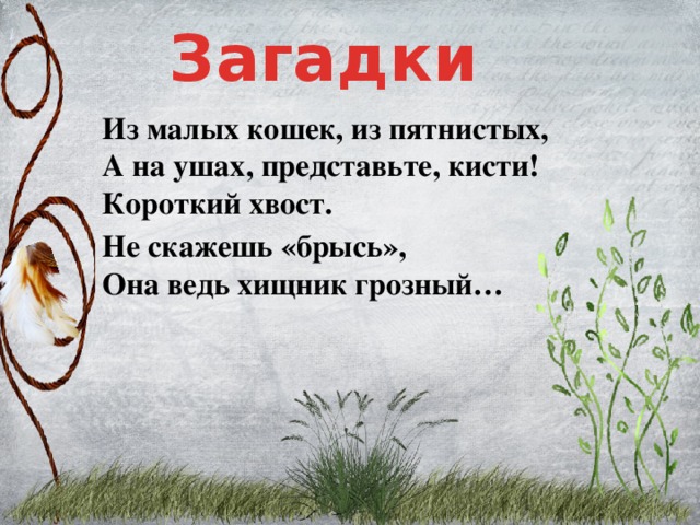Загадки Из малых кошек, из пятнистых,  А на ушах, представьте, кисти!  Короткий хвост. Не скажешь «брысь»,  Она ведь хищник грозный…