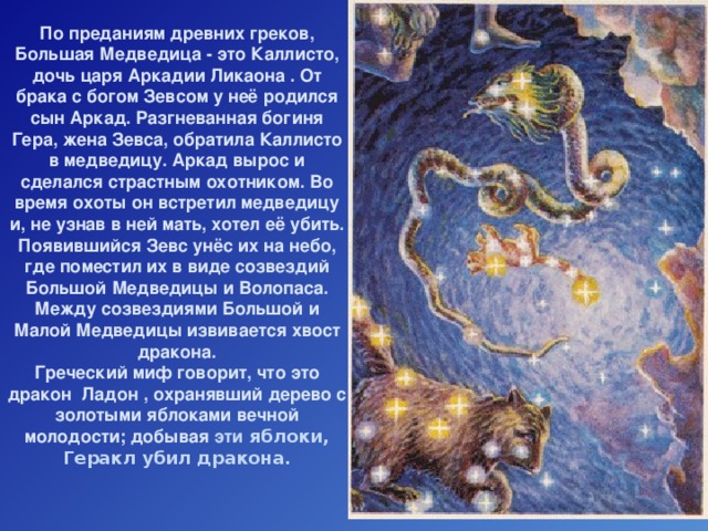 По преданиям древних греков, Большая Медведица - это Каллисто, дочь царя Аркадии Ликаона . От брака с богом Зевсом у неё родился сын Аркад. Разгневанная богиня Гера, жена Зевса, обратила Каллисто в медведицу. Аркад вырос и сделался страстным охотником. Во время охоты он встретил медведицу и, не узнав в ней мать, хотел её убить. Появившийся Зевс унёс их на небо, где поместил их в виде созвездий Большой Медведицы и Волопаса. Между созвездиями Большой и Малой Медведицы извивается хвост дракона. Греческий миф говорит, что это дракон Ладон , охранявший дерево с золотыми яблоками вечной молодости; добывая эти яблоки, Геракл убил дракона. 
