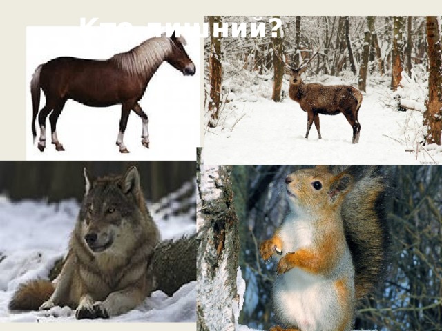 Кто лишний?   