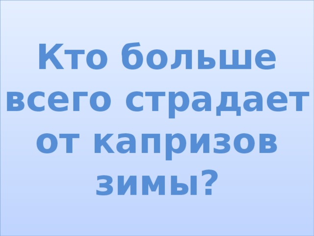 Кто больше всего страдает от капризов зимы? самое страшное для животных и птиц это не холод, потому что у животных мех становится теплее к зиме, а у птиц вырастает пух под перьями. Самое ужасное для них голод.  