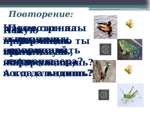 Повторение: Какие сигналы ты можешь воспринимать летом у озера? Посмотри на картинки и прослушай сигналы. Какую информацию ты принимаешь, когда слышишь? А когда видишь?  Ты принимаешь тактильную информацию, когда слышишь? 