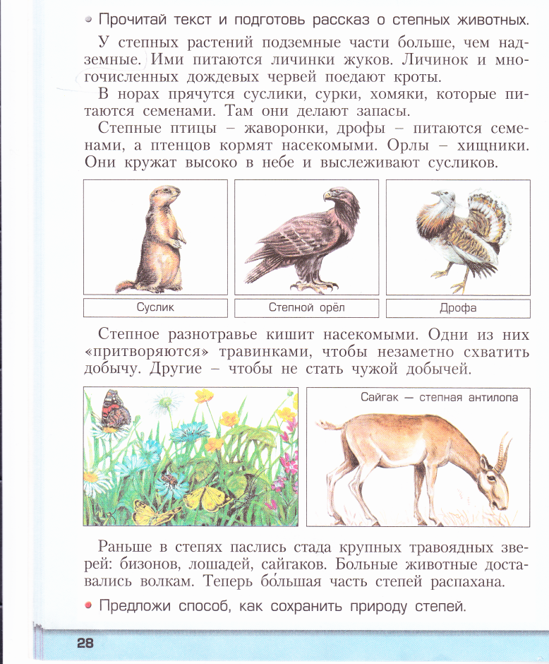 Типичный обитатель зоны степей