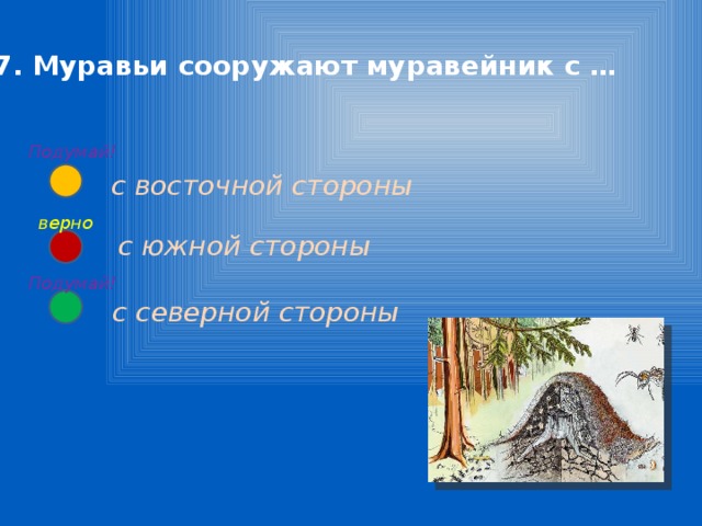 7. Муравьи сооружают муравейник с … Подумай!  с восточной стороны верно  с южной стороны Подумай!  с северной стороны 