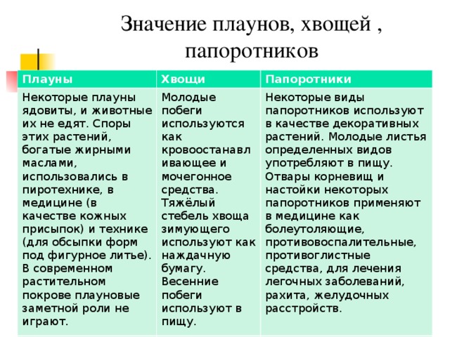 Плауны хвощи папоротники их общая характеристика 6 класс презентация пономарева