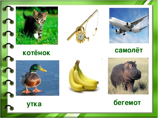 самолёт котёнок бегемот утка