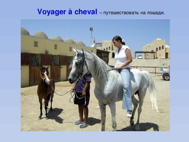 Voyager à cheval – путешествовать на лошади. 