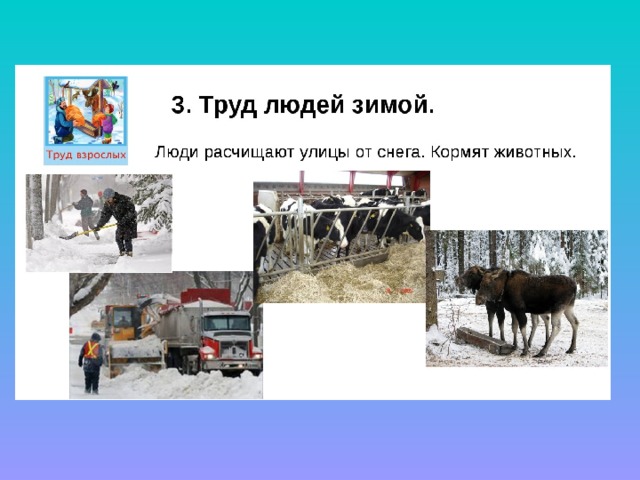 Труд людей зимой картинки для детей