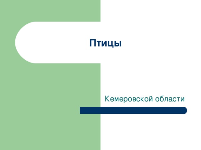 Птицы 