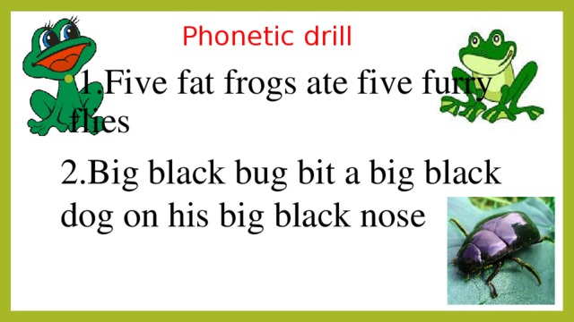 Phonetic drill 1.Five fat frogs ate five furry flies 2.Big black bug bit a big black dog on his big black nose