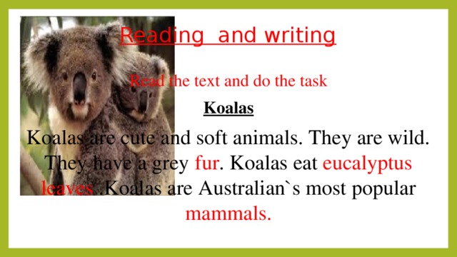 Reading and writing Read the text and do the task Koalas Koalas are cute and soft animals. They are wild. They have a grey fur . Koalas eat eucalyptus  leaves .Koalas are Australian`s most popular mammals.