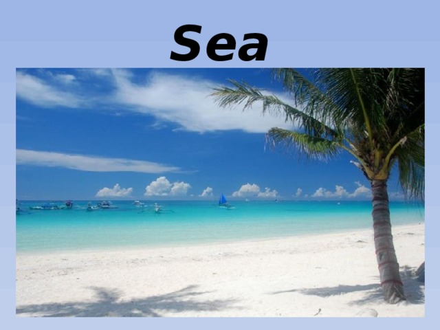 Sea 