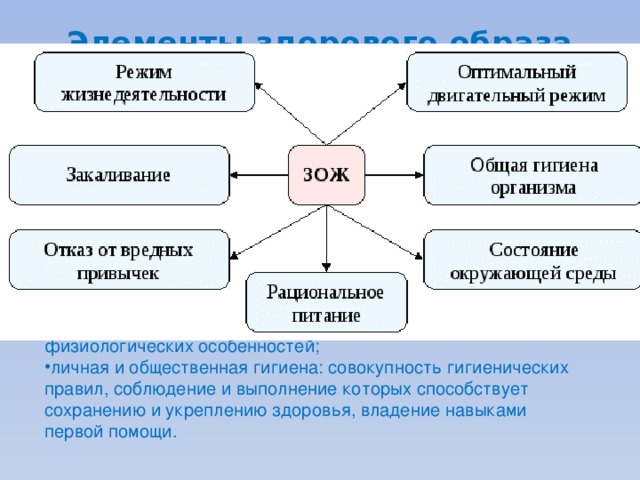 Элементы здорового образа жизни: воспитание с раннего детства здоровых привычек и навыков; окружающая среда: безопасная и благоприятная для обитания, знания о влиянии неблагоприятных факторов окружающей среды на здоровье; отказ от  курения , употребления  наркотиков , употребления  алкоголя . здоровое  питание : умеренное, соответствующее физиологическим особенностям конкретного человека, информированность о качестве употребляемых продуктов; движения: физически активная жизнь, включая специальные физические упражнения, с учётом возрастных и физиологических особенностей; личная и общественная гигиена: совокупность гигиенических правил, соблюдение и выполнение которых способствует сохранению и укреплению здоровья, владение навыками первой помощи. 