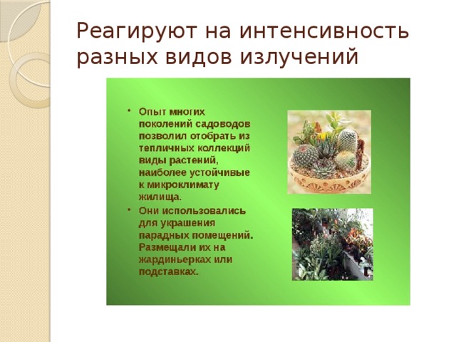 Реагируют на интенсивность разных видов излучений