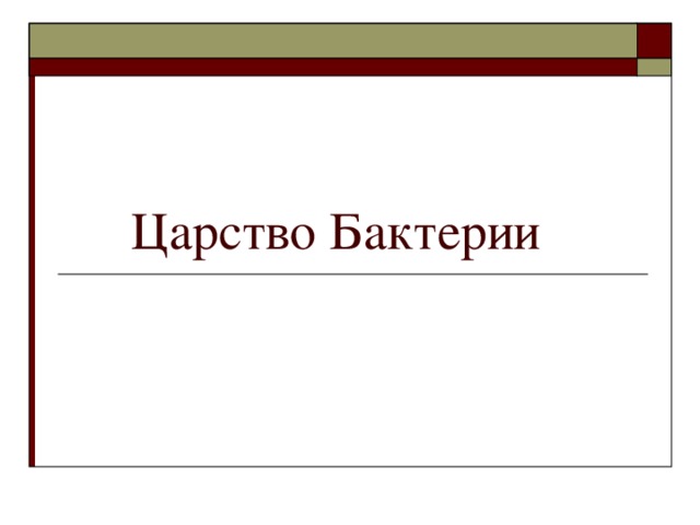 Царство Бактерии