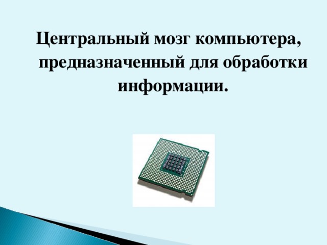 Центральный мозг компьютера, предназначенный для обработки информации.