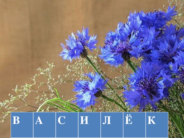 В А С И Л Ё К 