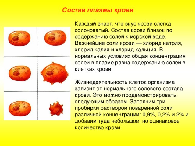 Состав плазмы крови Каждый знает, что вкус крови слегка солоноватый. Состав крови близок по содержанию солей к морской воде. Важнейшие соли крови — хлорид натрия, хлорид калия и хлорид кальция. В нормальных условиях общая концентрация солей в плазме равна содержанию солей в клетках крови. Жизнедеятельность клеток организма зависит от нормального солевого состава крови. Это можно продемонстрировать следующим образом. Заполним три пробирки раствором поваренной соли различной концентрации: 0,9%, 0,2% и 2% и добавим туда небольшое, но одинаковое количество крови.
