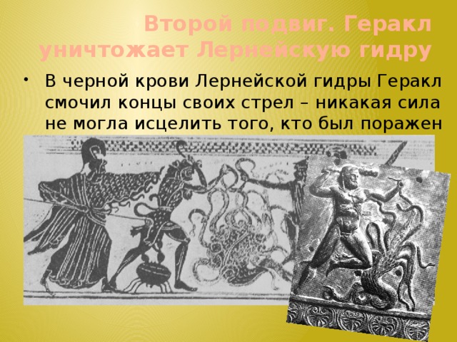 Второй подвиг. Геракл уничтожает Лернейскую гидру В черной крови Лернейской гидры Геракл смочил концы своих стрел – никакая сила не могла исцелить того, кто был поражен такой стрелой. 