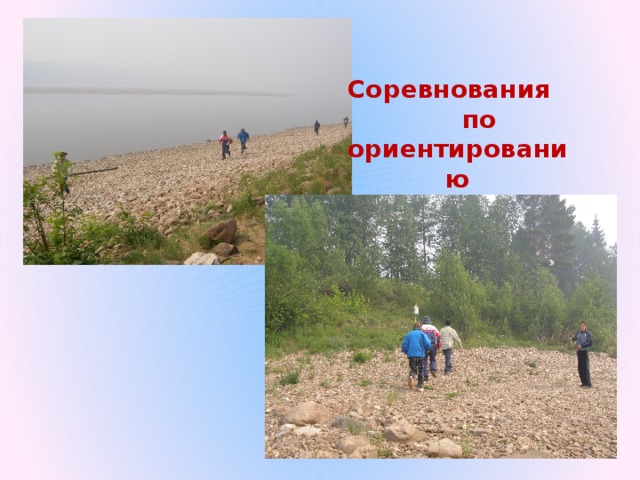 Соревнования по ориентированию 