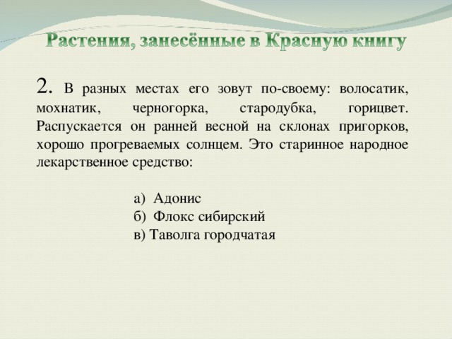 2. В разных местах его зовут по-своему: волосатик, мохнатик, черногорка, стародубка, горицвет. Распускается он ранней весной на склонах пригорков, хорошо прогреваемых солнцем. Это старинное народное лекарственное средство: а) Адонис б) Флокс сибирский в) Таволга городчатая а) Адонис б) Флокс сибирский в) Таволга городчатая 