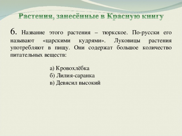 6. Название этого растения – тюркское. По-русски его называют «царскими кудрями». Луковицы растения употребляют в пищу. Они содержат большое количество питательных веществ: а) Кровохлёбка б) Лилия-саранка в) Девясил высокий а) Кровохлёбка б) Лилия-саранка в) Девясил высокий 