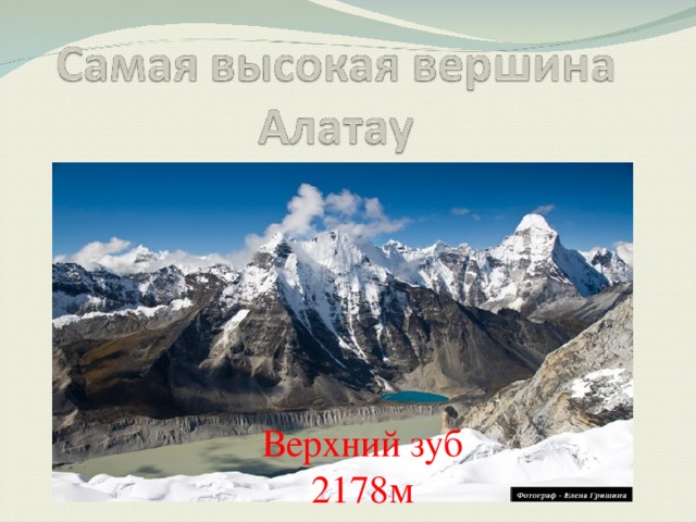 Верхний зуб 2178м 