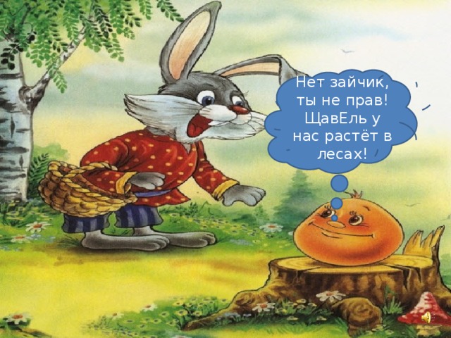Нет зайчик, ты не прав! ЩавЕль у нас растёт в лесах!