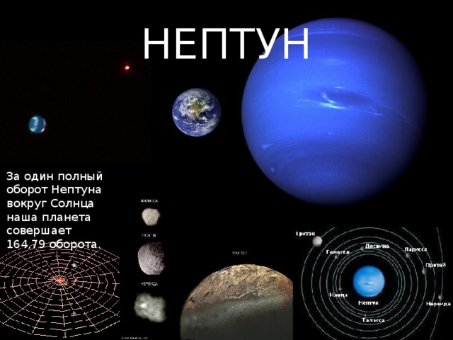 НЕПТУН За один полный оборот Нептуна вокруг Солнца наша планета совершает 164,79 оборота. 