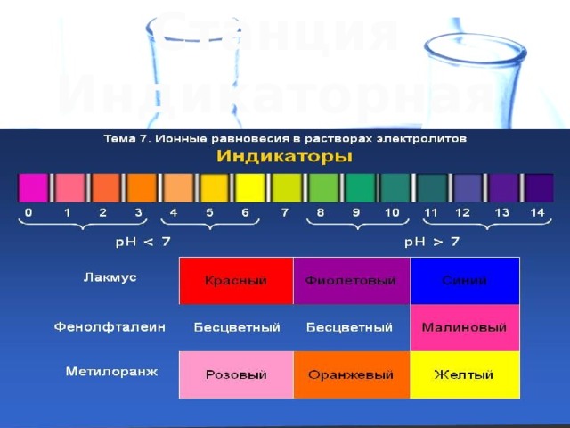 Станция Индикаторная 