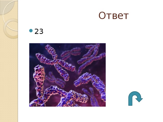  Ответ 23 