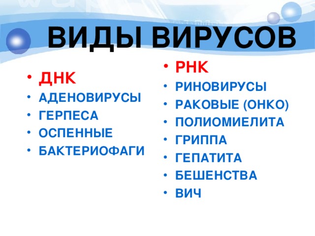 ВИДЫ ВИРУСОВ РНК РИНОВИРУСЫ РАКОВЫЕ (ОНКО) ПОЛИОМИЕЛИТА ГРИППА ГЕПАТИТА БЕШЕНСТВА ВИЧ  ДНК АДЕНОВИРУСЫ ГЕРПЕСА ОСПЕННЫЕ БАКТЕРИОФАГИ 