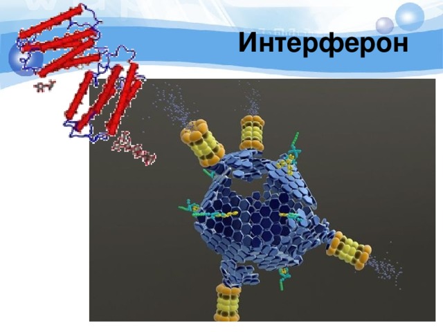 Интерферон 