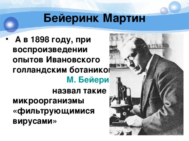 Бейеринк Мартин  А в 1898 году, при воспроизведении опытов Ивановского голландским ботаником   М. Бейеринком , он назвал такие микроорганизмы «фильтрующимися вирусами» 