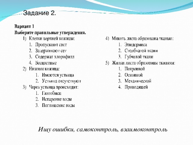 Задание 2. Ищу ошибки, самоконтроль, взаимоконтроль 