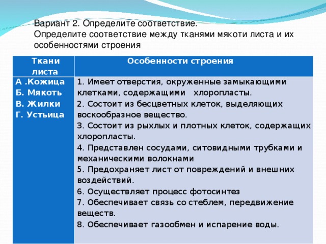 Вариант 2. Определите соответствие. Определите соответствие между тканями мякоти листа и их особенностями строения Ткани листа  Особенности строения А .Кожица Б. Мякоть В. Жилки Г. Устьица   1. Имеет отверстия, окруженные замыкающими клетками, содержащими хлоропласты. 2. Состоит из бесцветных клеток, выделяющих воскообразное вещество. 3. Состоит из рыхлых и плотных клеток, содержащих хлоропласты. 4. Представлен сосудами, ситовидными трубками и механическими волокнами 5. Предохраняет лист от повреждений и внешних воздействий. 6. Осуществляет процесс фотосинтез 7. Обеспечивает связь со стеблем, передвижение веществ. 8. Обеспечивает газообмен и испарение воды.   
