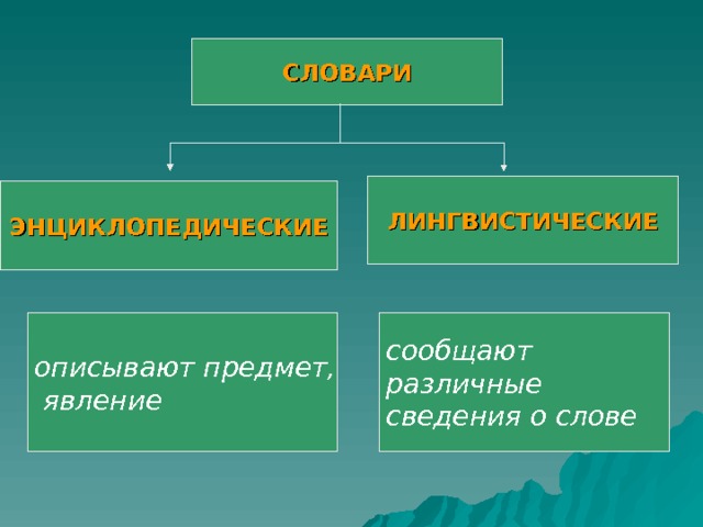 СЛОВАРИ ЛИНГВИСТИЧЕСКИЕ ЭНЦИКЛОПЕДИЧЕСКИЕ описывают предмет,  явление сообщают различные сведения о слове  