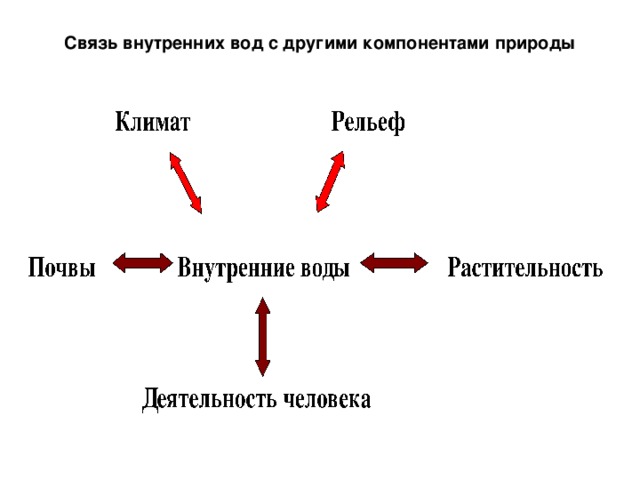 Связь внутренних вод с другими компонентами природы Климат Рельеф Почвы Внутренние воды Растительность Деятельность человека 